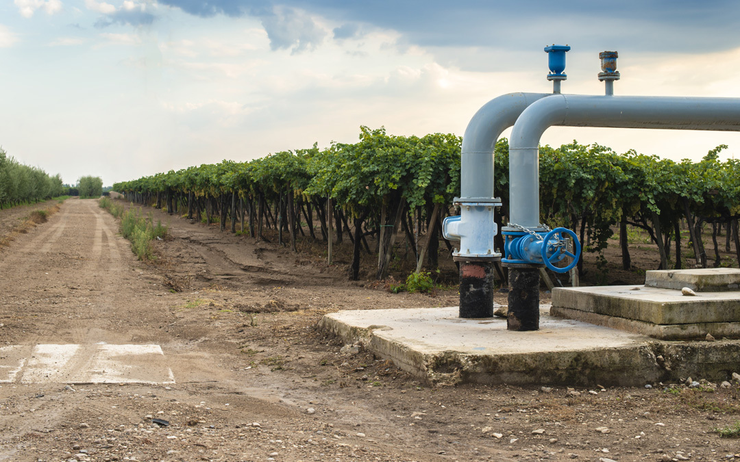 2021_0507_NEWS_watering-pipes-and-vineyard_1080x675 water systems california