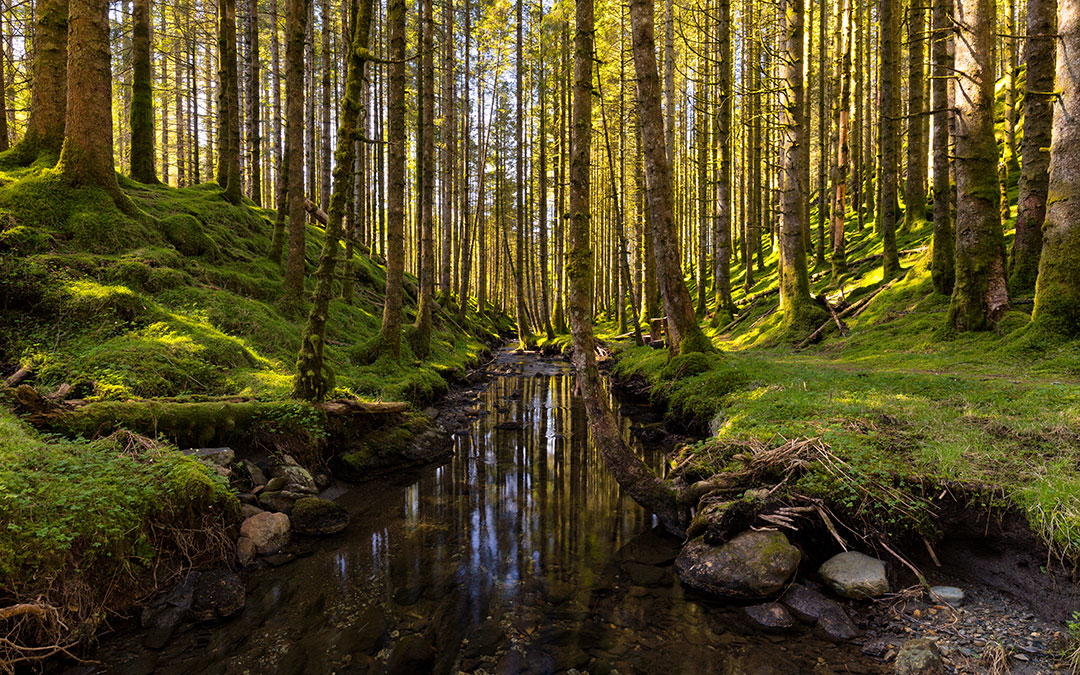 ENPR_NEWS_1080X675_2022_0217