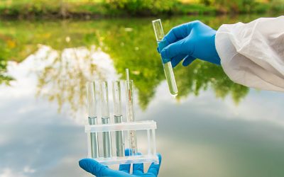 Study Finds Widespread PFAS Exceedances in Miami-Dade County Water Samples